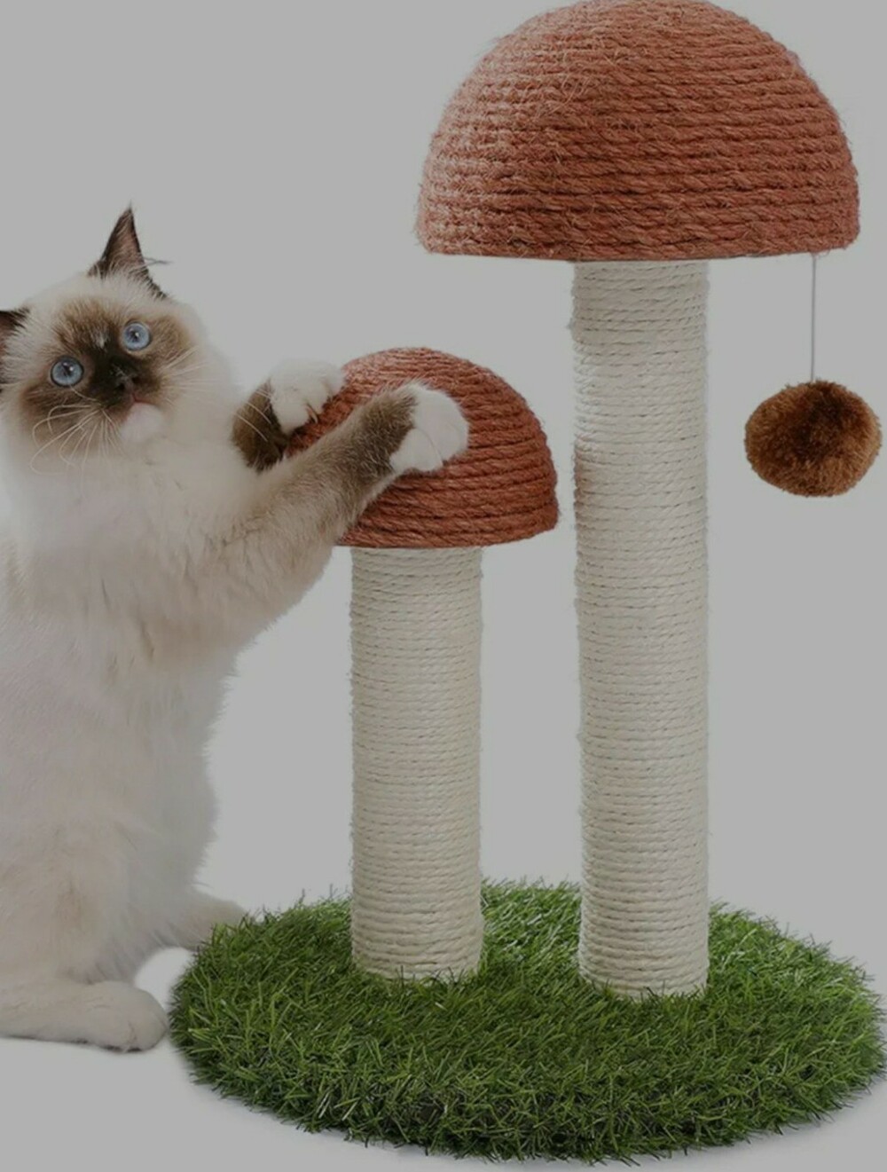 PAWZ Road New In Box Cat Scratching Post
